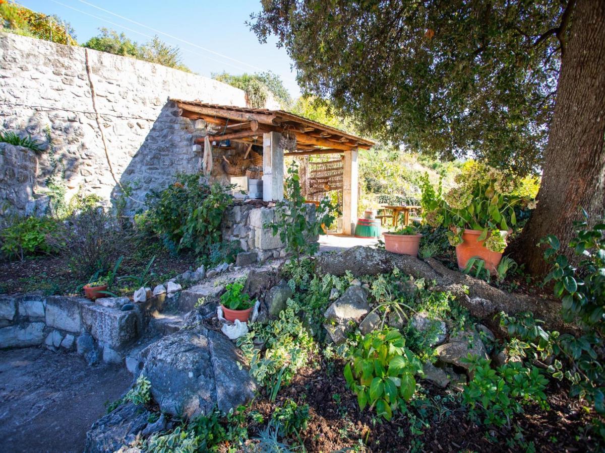 Country House Bakicevo Čilipi Pokoj fotografie