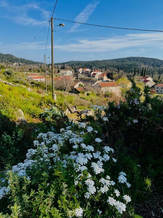 Country House Bakicevo Čilipi Exteriér fotografie