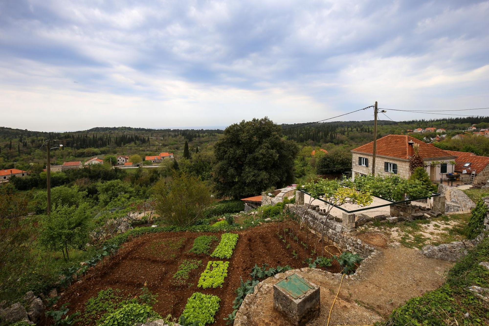Country House Bakicevo Čilipi Exteriér fotografie